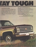 1980 Chevrolet Pickups-03